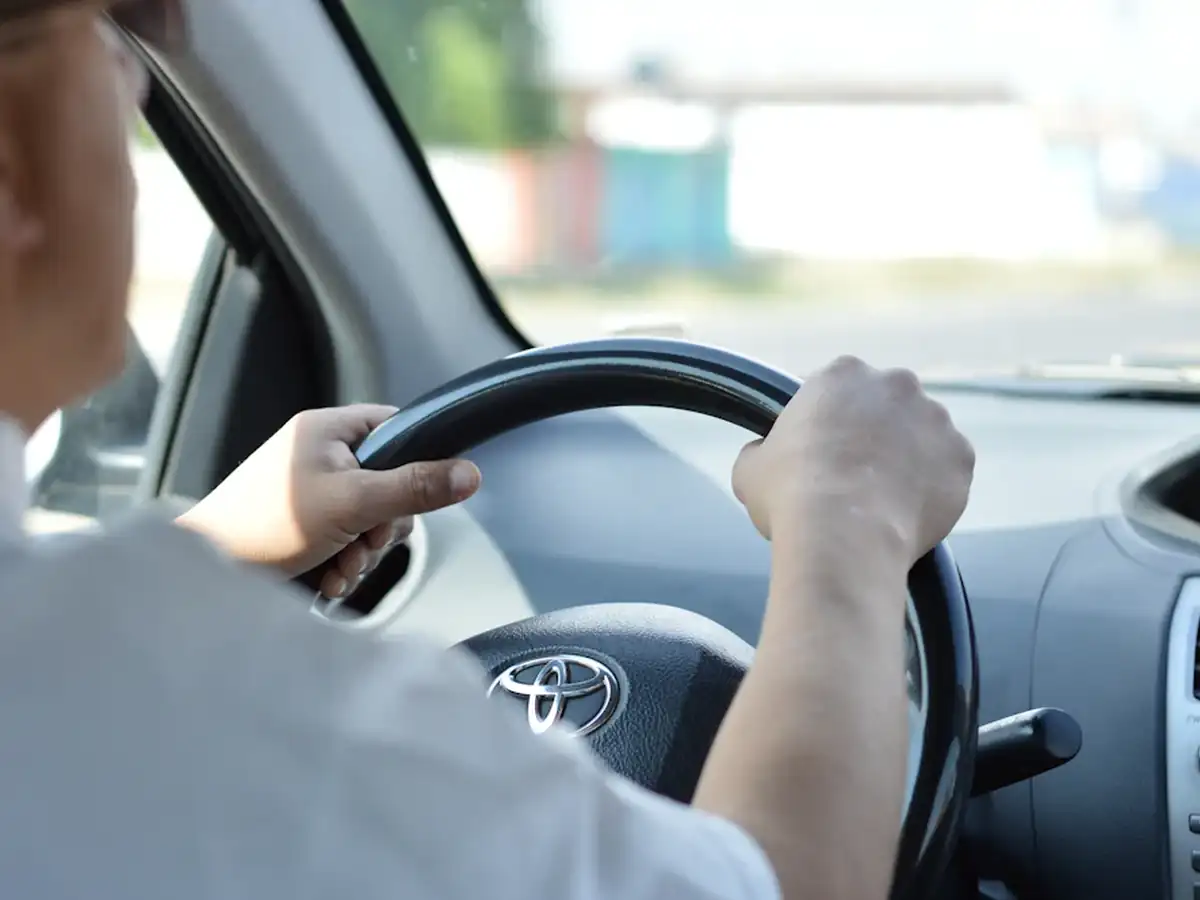 Mani sul volante